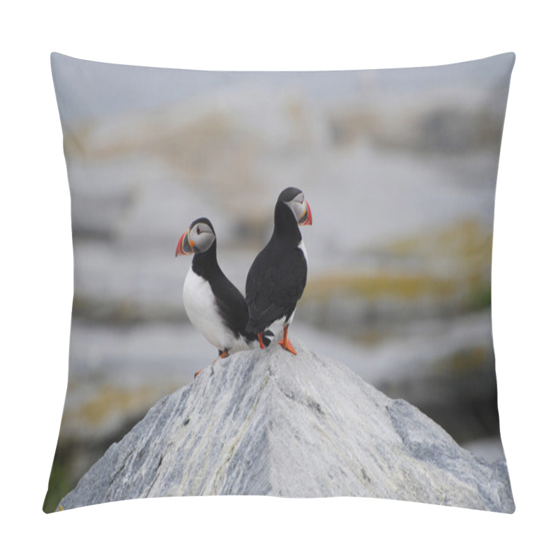 Personality  Puffins In The Distance Pillow Covers