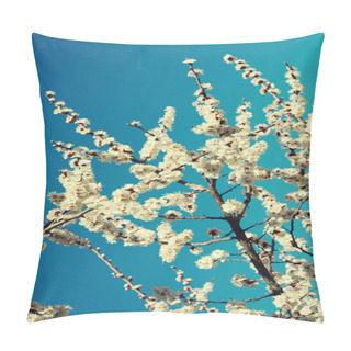 Personality  Branches Of A Blossoming Fruit Tree With Large Beautiful Buds Against A Bright Blue Sky Cherry Or Apple Blossom In Spring Season. Beautiful Flowering Fruit Trees. Natural Background. Toned Image. Pillow Covers