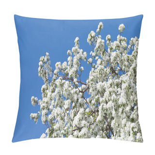 Personality  Beautiful Apple Tree In The Garden Pillow Covers