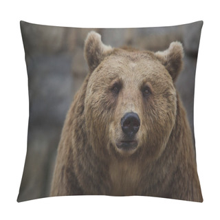 Personality  Brown Bear (Ursus Arctos).  Pillow Covers