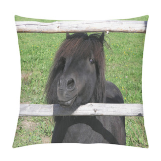 Personality  Pony Pillow Covers