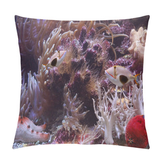Personality  Tropical Fishes Pillow Covers