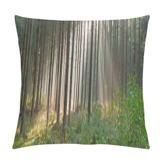 Personality Panorama Landscape Of Forest In The Mist With Sun Rays. Pillow Covers