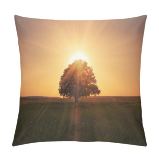 Personality  Magical Sunrise With Tree Pillow Covers