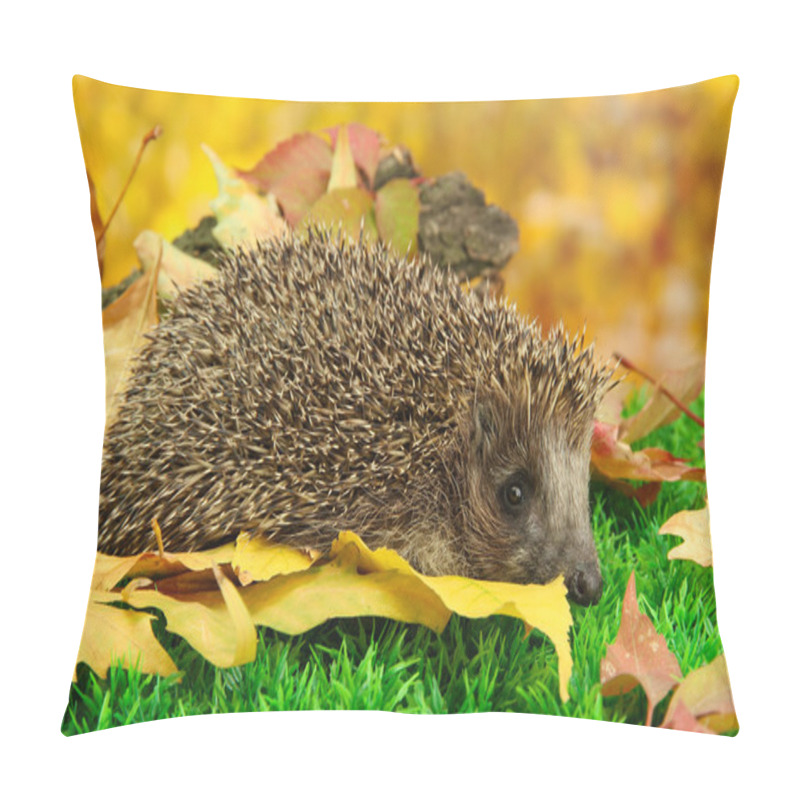 Personality  Hedgehog on autumn leaves in forest pillow covers