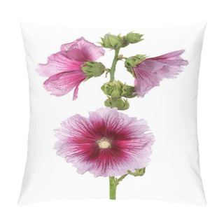 Personality  Alcea Rosea, Isolated Pink Hollyhock Pillow Covers