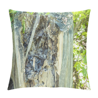 Personality  Close Up Stump In Garden Destroyed By Bark Beetles Pillow Covers