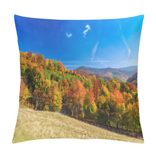 Personality  Colorful Autumn Landscape In The Carpathian Mountains Pillow Covers