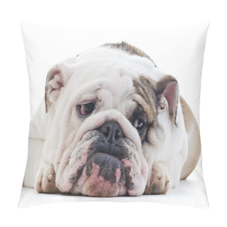Personality  English Bulldog Pillow Covers