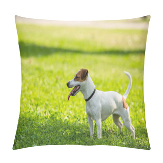 Personality  Selective Focus Of Jack Russell Terrier Dog Standing On Grass Pillow Covers