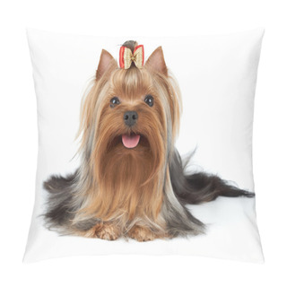 Personality  Beatiful Dog With Bow Pillow Covers