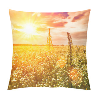 Personality  Late Sunset On The Summer Meadow, Natural Landscape Pillow Covers