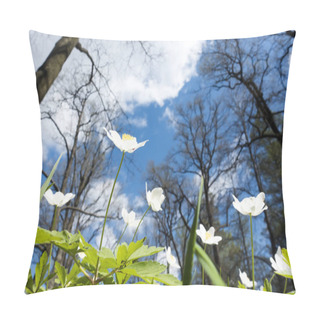 Personality  White Snowdrops In The Early Spring On A Glade Against The Background Of The Blue Sky And Branches Of Trees Pillow Covers