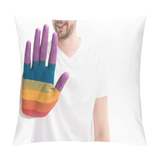 Personality  Cropped Image Of Homosexual Man Showing Hand Painted In Colors Of Pride Flag Isolated On White, World Aids Day Concept Pillow Covers
