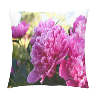 Personality  Large Flowers Of A Peony, Terry With Pink Petals, Are Decoration Of A Garden At Any Time. Pillow Covers