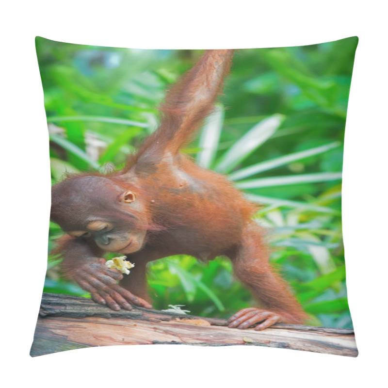 Personality  Wild Borneo Orangutan Pillow Covers