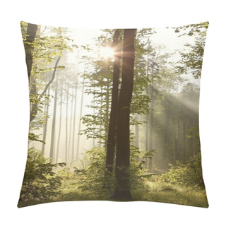 Personality  Spring Woods At Dawn Pillow Covers