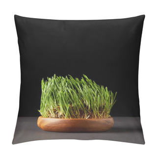 Personality  Spirulina Grass In Wooden Bowl On Black Background  Pillow Covers