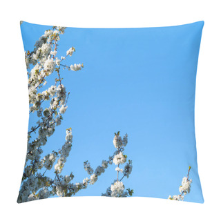 Personality  Beautiful Blooming Apple Tree, Close Up Pillow Covers