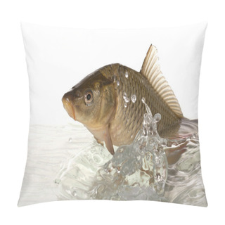 Personality  Big Carp Floats In Transparent Water. Pillow Covers