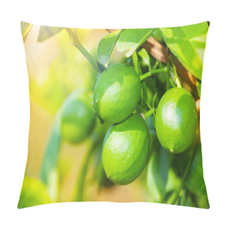 Personality  Close-up Of Green Ripping Lemon Pillow Covers
