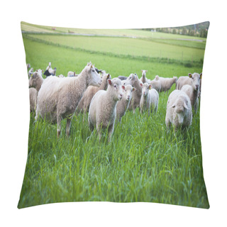 Personality  A Flock Of Sheep Pillow Covers
