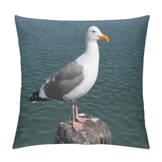 Personality  Herring Gull, United States Pillow Covers