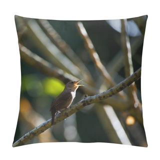 Personality  The Small Singer. Pillow Covers