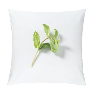 Personality  Fresh Mint Leaves  Pillow Covers