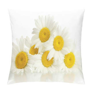 Personality  Beautiful Daisies Flowers Isolated On White Pillow Covers