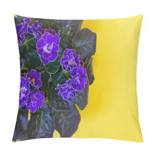 Personality  Blooming Bright Purple African Violet Flower On Yellow  Background, Top View With Copy Space Pillow Covers
