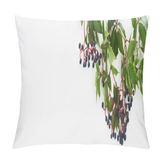 Personality  Panoramic Shot Of Wild Grapes Branch With Green Leaves And Berries Isolated On White  Pillow Covers
