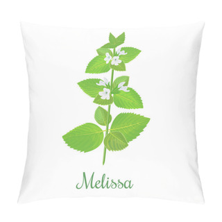 Personality  Fresh Melissa Plant. Also Lemon Balm Or Balm Mint Pillow Covers