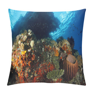 Personality  Colorful Coral Reef Against Surface In Misool, Raja Ampat. West Papua, Indonesia Pillow Covers