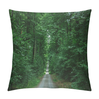 Personality  Road In Green Beautiful Forest In Wurzburg, Germany Pillow Covers