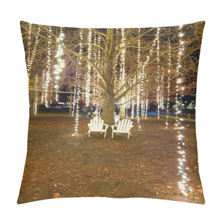 Personality  Biltmore Estate Christmas Lights Pillow Covers
