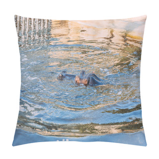 Personality  Hippo Swimming In Pond In Zoological Park, Barcelona, Spain Pillow Covers