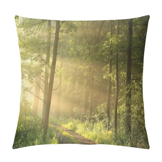 Personality  Spring Deciduous Forest Pillow Covers