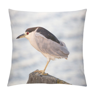 Personality  Black-crowned Night Heron (Nycticorax Nycticorax) Foraging. Pillow Covers