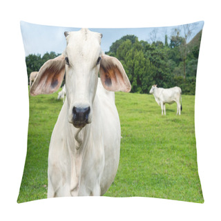 Personality  Cow In A Farmland Pillow Covers