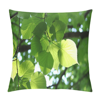 Personality  Fresh Foliage Glowing In Sunlight Pillow Covers