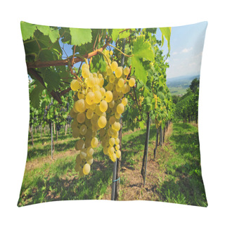 Personality  White Grapes Pillow Covers