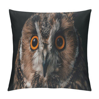 Personality  Close Up View Of Wild Owl Muzzle Isolated On Black Pillow Covers