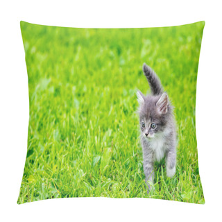 Personality  Funny Little White Kitten With Blue Eyes Pillow Covers