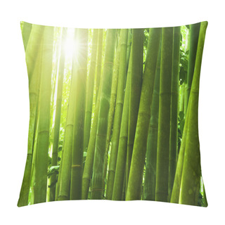 Personality  Bamboo Forest. Pillow Covers