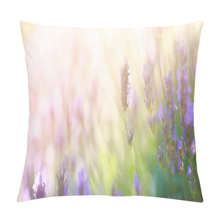 Personality  Summer Floral Landscape; Beautiful Summer Lavender Flower Against Evening Sunny Sky; Nature Landscape Background. Pillow Covers
