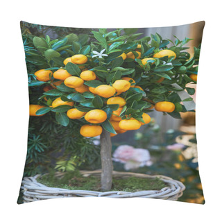 Personality  Citrus Plant Calamondin, Citrofortunella Microcarpa, Madurensis With Ripe Small Orange Fruits In A Pot. Pillow Covers