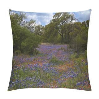 Personality  Bluebonnets And Indian Paintbush In The Texas Hill Country, Texas Pillow Covers