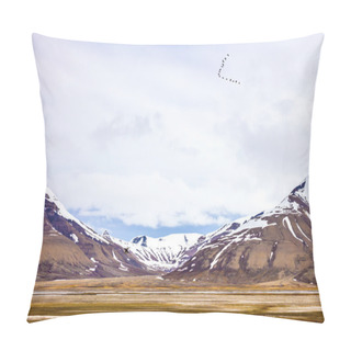 Personality  Birds Flying Between Mountains In Arctic Summer Landscape Pillow Covers