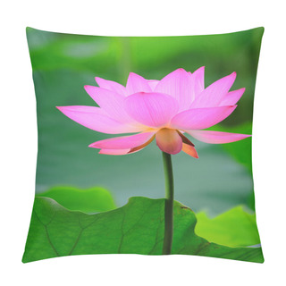 Personality  Lotus Flower Pillow Covers